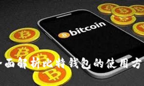 全面解析比特钱包的使用方法