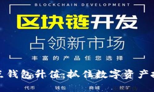 以太坊全节点钱包升值：抓住数字资产投资的新机遇