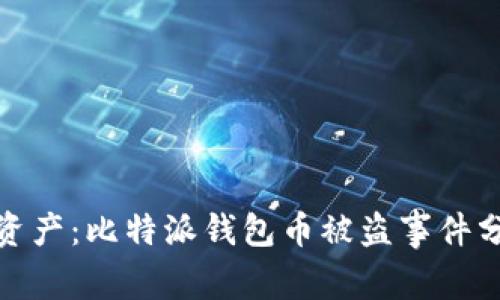 保护你的数字资产:比特派钱包币被盗事件分析与防范措施