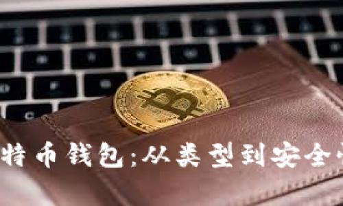 深入了解比特币钱包:从类型到安全性的全面分析