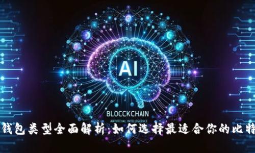比特币钱包类型全面解析:如何选择最适合你的比特币钱包