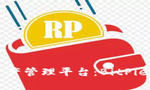 快速安全的数字资产管理平台：BitPie下载官网版全解析