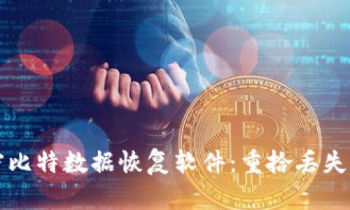 全方位解密比特数据恢复软件:重拾丢失文件的希望