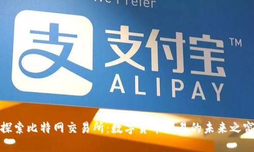 探索比特网交易所：数字货币交易的未来之窗