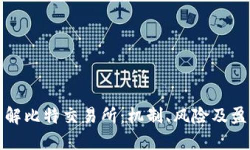 深入了解比特交易所:机制、风险及盈利策略