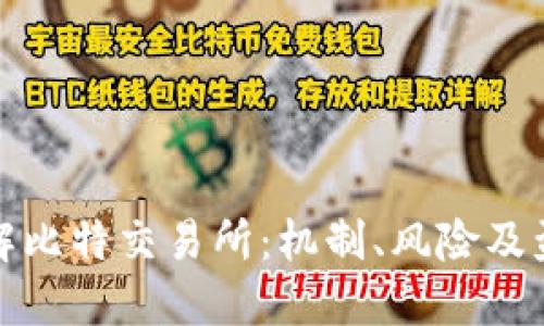 深入了解比特交易所:机制、风险及盈利策略