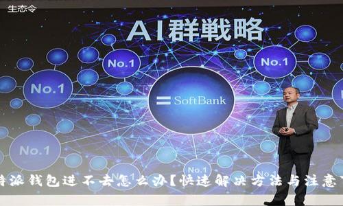 比特派钱包进不去怎么办?快速解决方法与注意事项