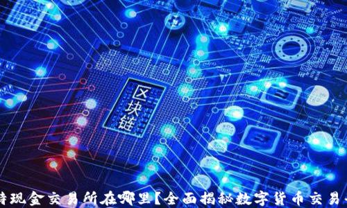 
比特现金交易所在哪里？全面揭秘数字货币交易平台