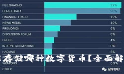 以太坊钱包能存储哪种数字货币?全面解析及使用指南
