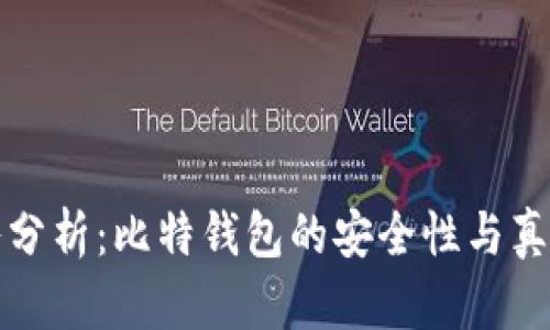 深入分析:比特钱包的安全性与真实性