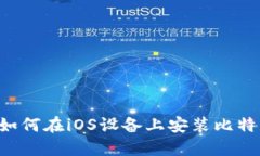 全面揭秘：如何在iOS设备