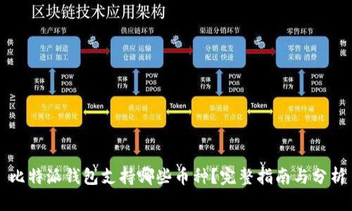 比特派钱包支持哪些币种?完整指南与分析