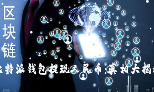比特派钱包提现人民币:真相大揭秘