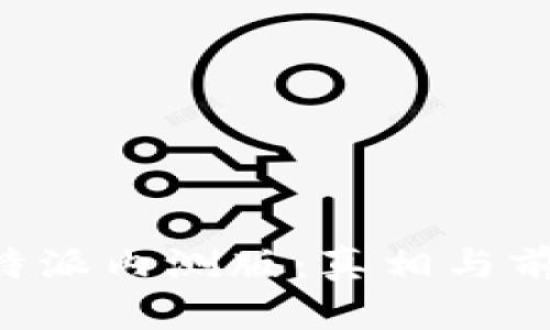 揭秘B特派内测版：真相与前景分析