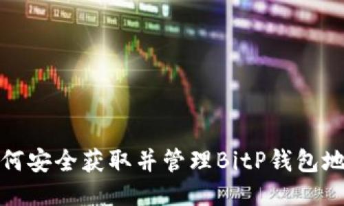 如何安全获取并管理BitP钱包地址