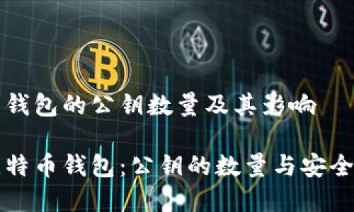 比特币钱包的公钥数量及其影响

解密比特币钱包：公钥的数量与安全性分析