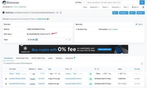  新手指南：如何轻松下载和使用BitPapp软件