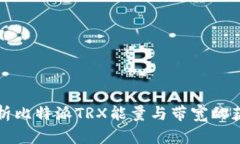 全面解析比特派TRX能量与