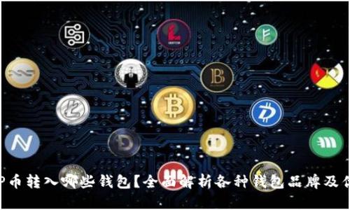 XRP币转入哪些钱包？全面解析各种钱包品牌及优势