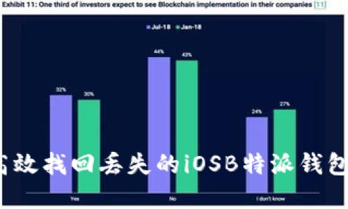 如何高效找回丢失的iOSB特派钱包资金？