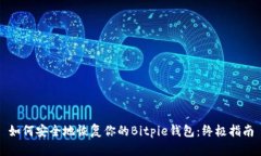 如何安全地恢复你的Bitp