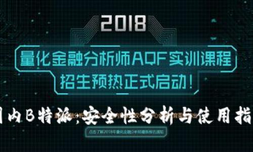 国内B特派：安全性分析与使用指南