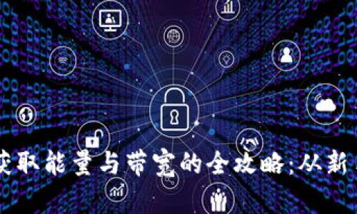 比特派获取能量与带宽的全攻略：从新手到高手