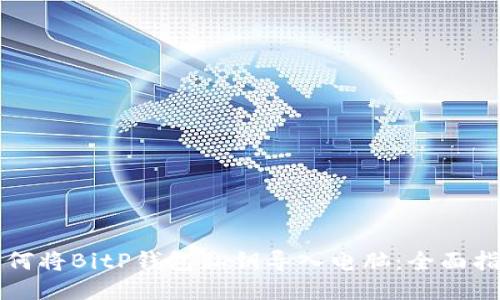 如何将BitP钱包私钥导入电脑：全面指南