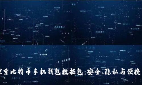 深入探索比特币手机钱包数据包：安全、隐私与便捷的未来