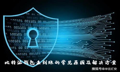 比特派钱包未到账的常见原因及解决方案