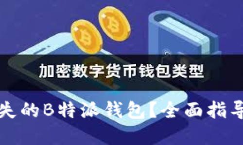 如何找回遗失的B特派钱包？全面指导与解决方案