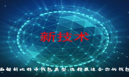 : 全面解析比特币钱包类型：选择最适合你的钱包方法