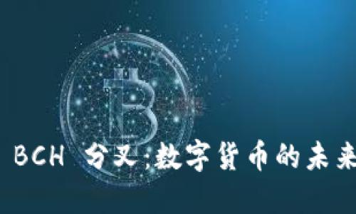 比特派 BCH 分叉：数字货币的未来与机遇