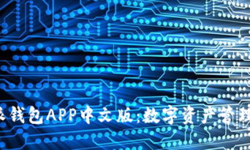 探索B特派钱包APP中文版：数字资产管理的新风潮