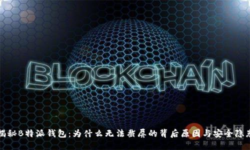 揭秘B特派钱包：为什么无法截屏的背后原因与安全隐患