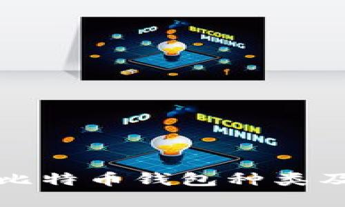 全面解析比特币钱包种类及选择指南