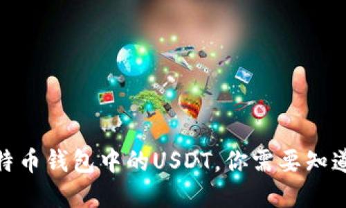 : 轻松查询比特币钱包中的USDT，你需要知道的步骤和技巧