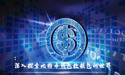 :
深入探索比特币钱包数据包的世界