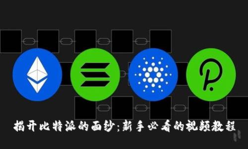 揭开比特派的面纱：新手必看的视频教程