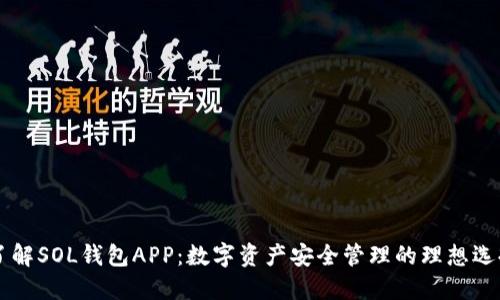了解SOL钱包APP：数字资产安全管理的理想选择