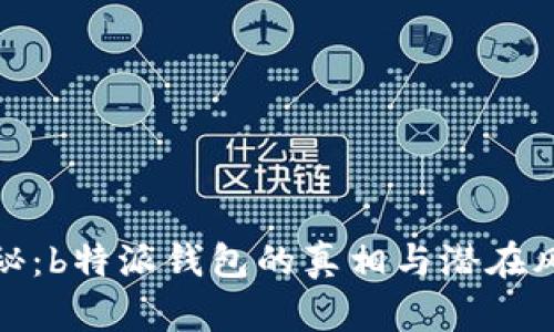 揭秘：b特派钱包的真相与潜在风险