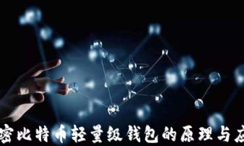 
解密比特币轻量级钱包的原理与应用