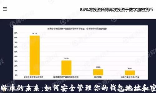 
比特币的未来：如何安全管理你的钱包地址和密钥