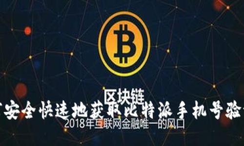 如何安全快速地获取比特派手机号验证码