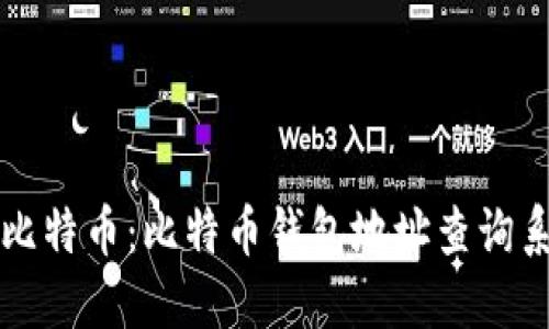 轻松了解你的比特币：比特币钱包地址查询系统的使用指南